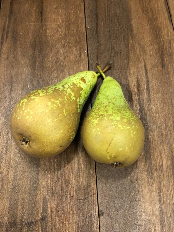pear note review
