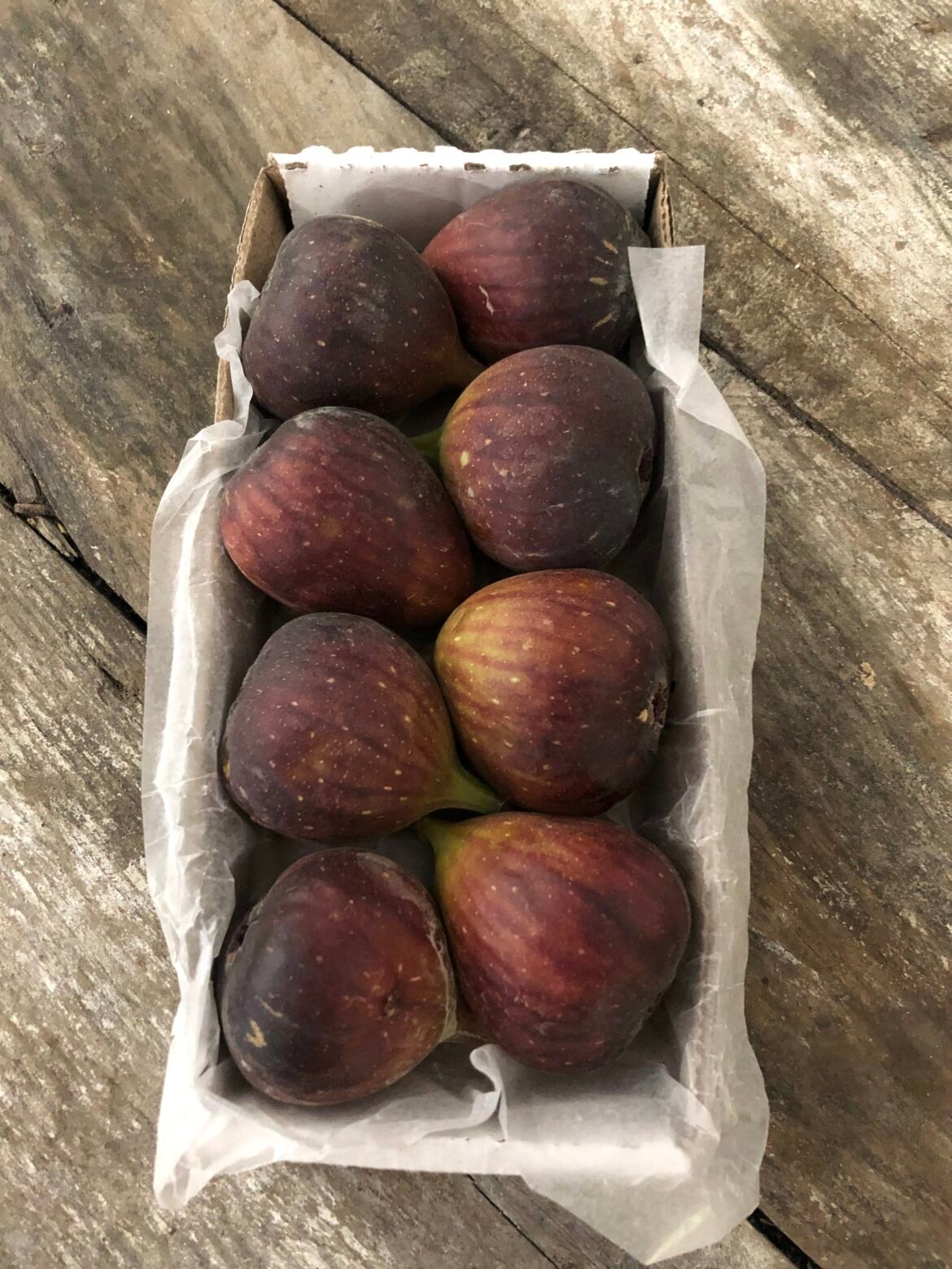 Fresh Figs Pack of 8 Barnhill Boxes